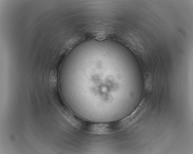 X0000111170179200907081222