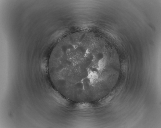 X0000111170181200907081222