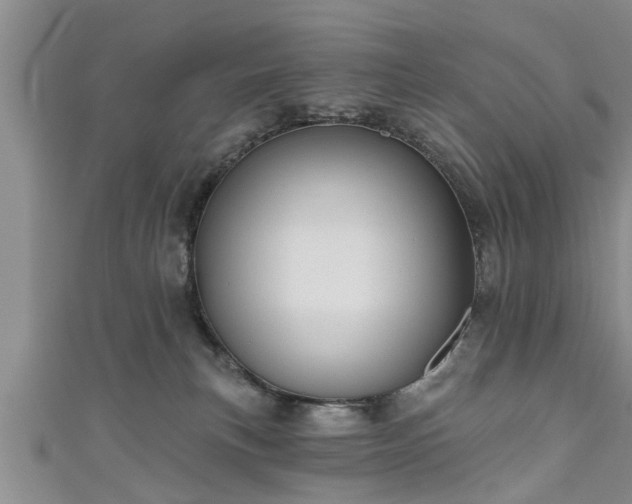 X0000111170183200907081222