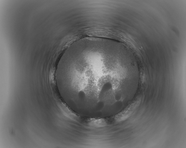 X0000111170185200907081222