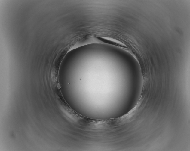 X0000111170186200907081222