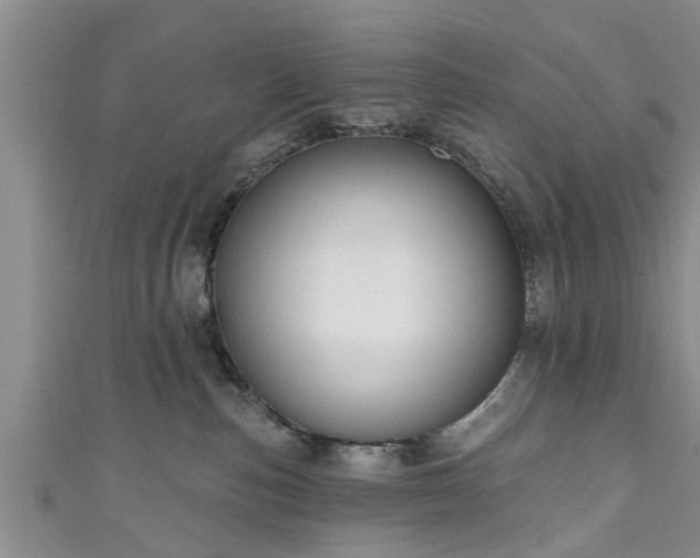 X0000111170187200907081222