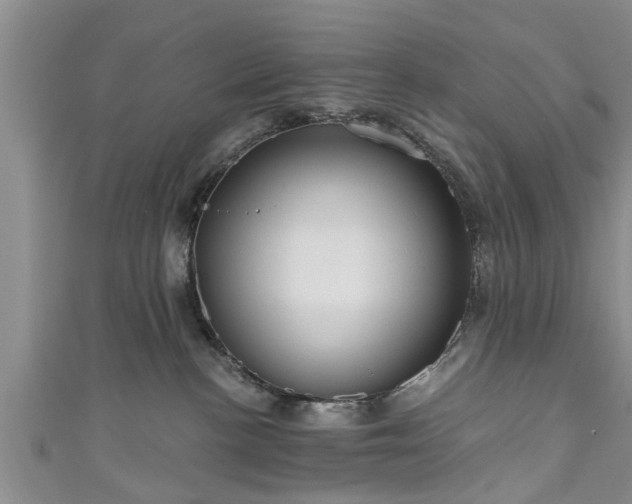 X0000111170188200907081222