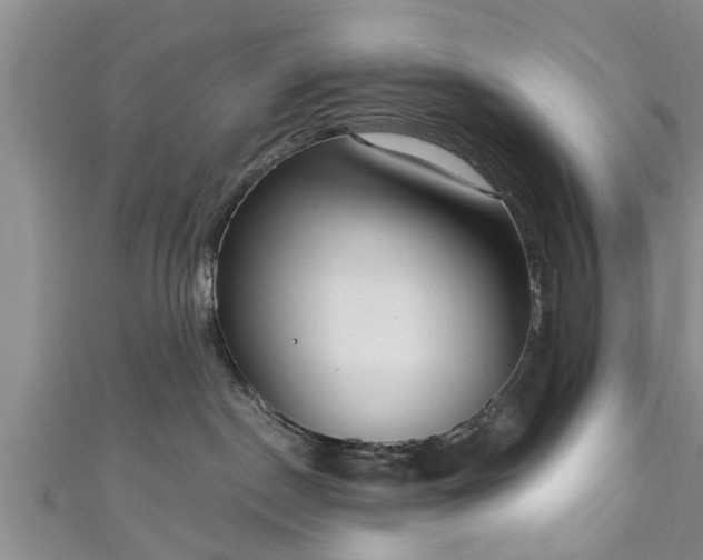 X0000111170190200907081222