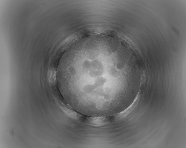 X0000111170191200907081222