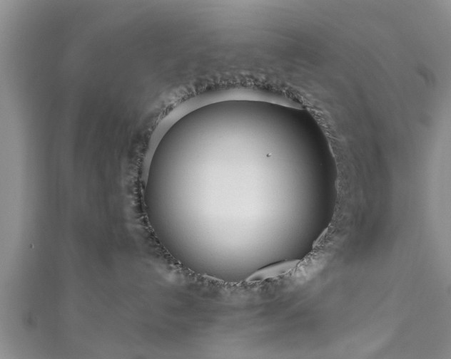 X0000111170192200907081222