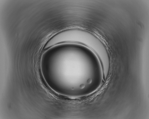 X0000111170193200907081222