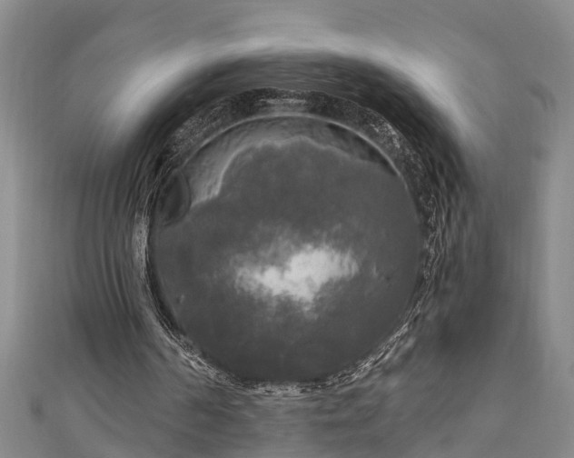 X0000111170194200907081222