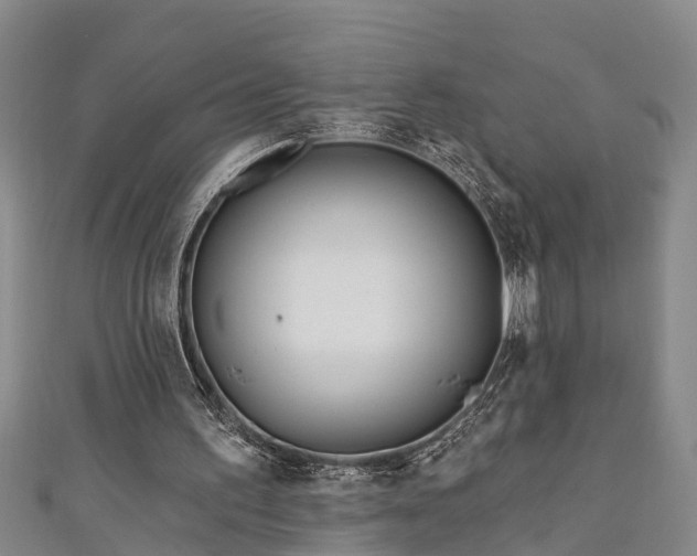 X0000111170195200907081222