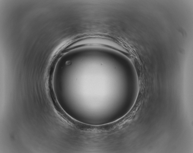 X0000111170197200907081222