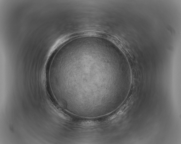 X0000111170198200907081222