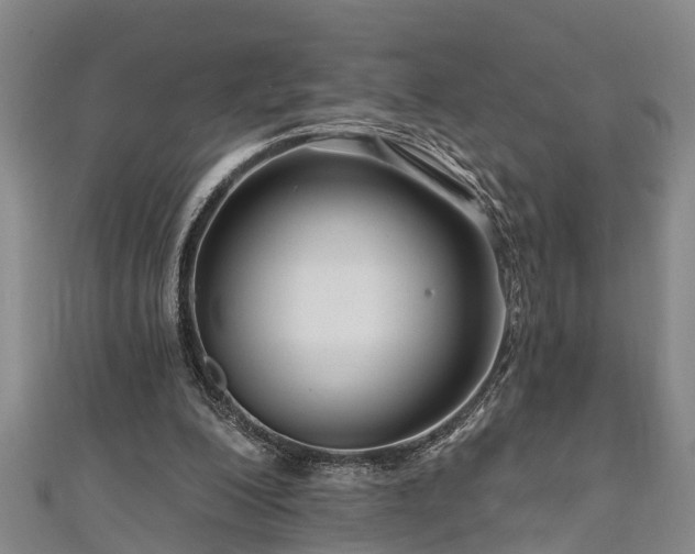 X0000111170200200907081222