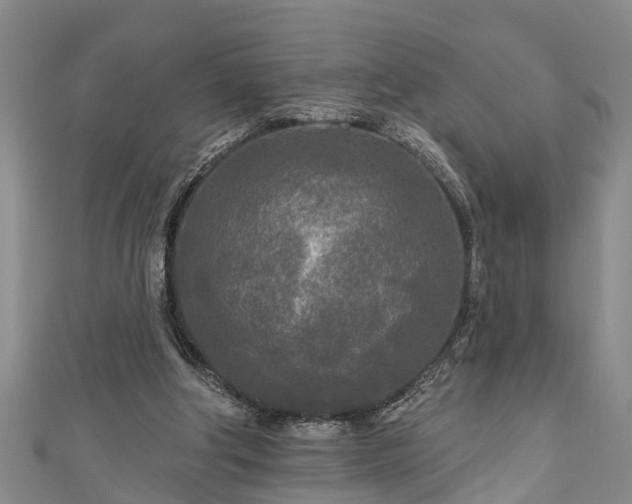 X0000111170202200907081222