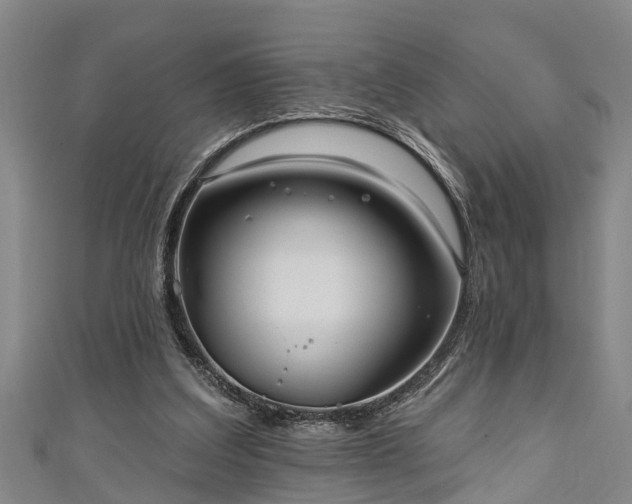 X0000111170203200907081222