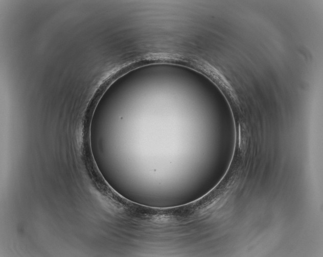 X0000111170204200907081222