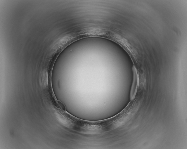 X0000111170205200907081222