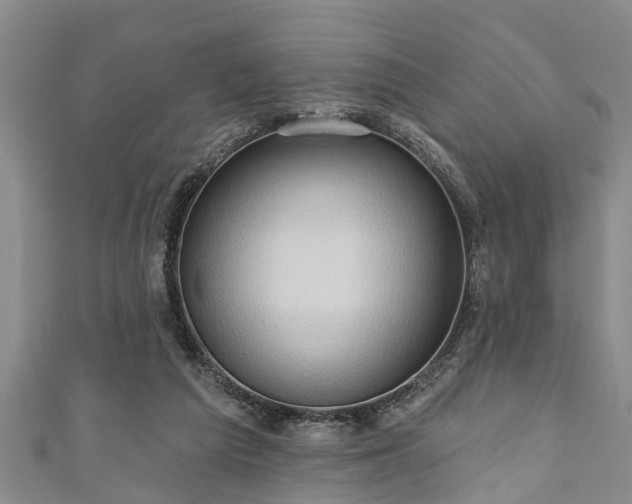 X0000111170209200907081222