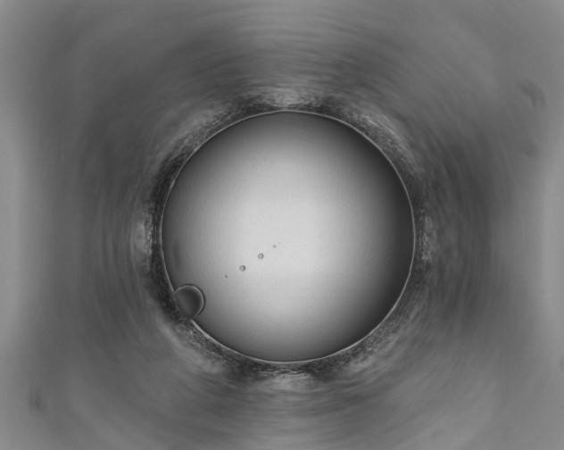 X0000111170210200907081221