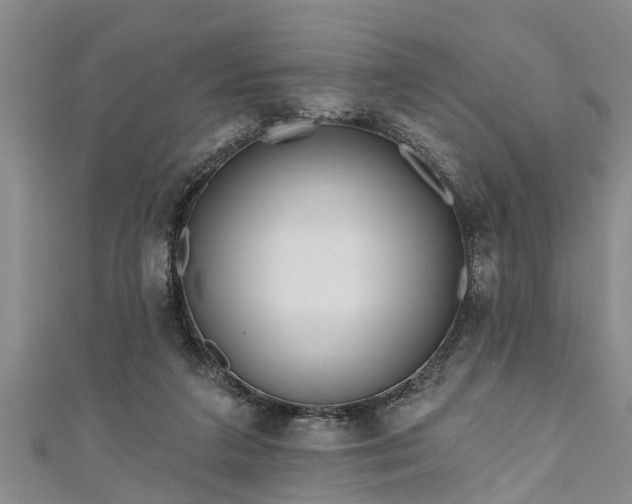 X0000111170211200907081221