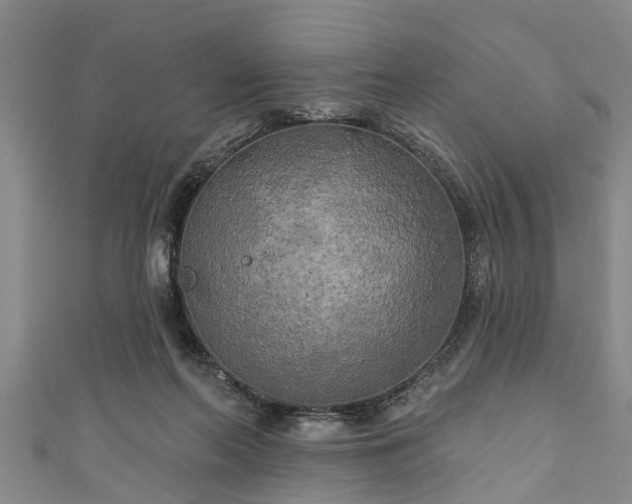 X0000111170214200907081221