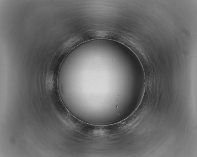 X0000111170216200907081221