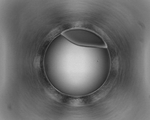 X0000111170217200907081221