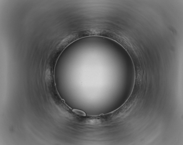 X0000111170220200907081221