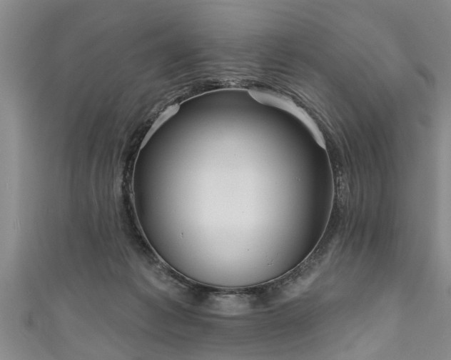 X0000111170221200907081221