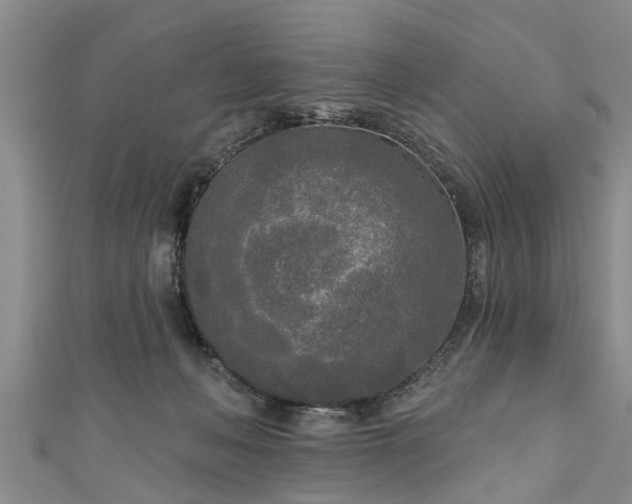 X0000111170222200907081221