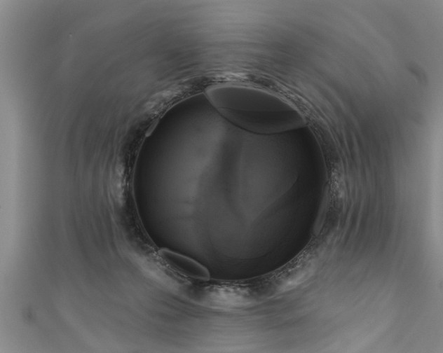 X0000111170223200907081221