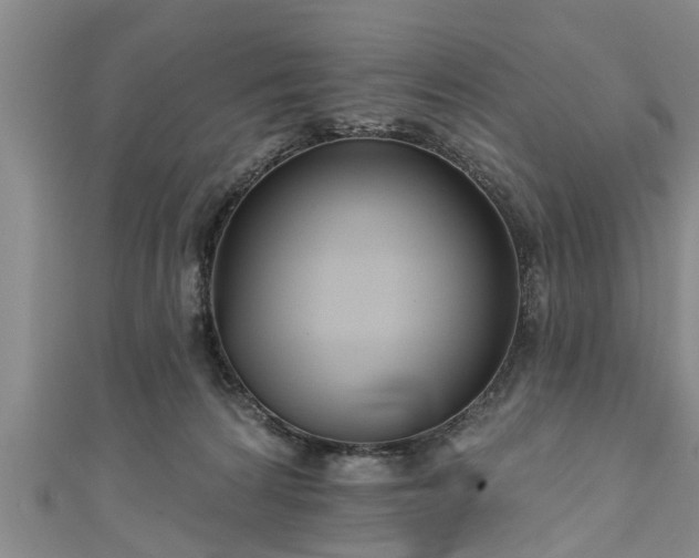 X0000111170224200907081221