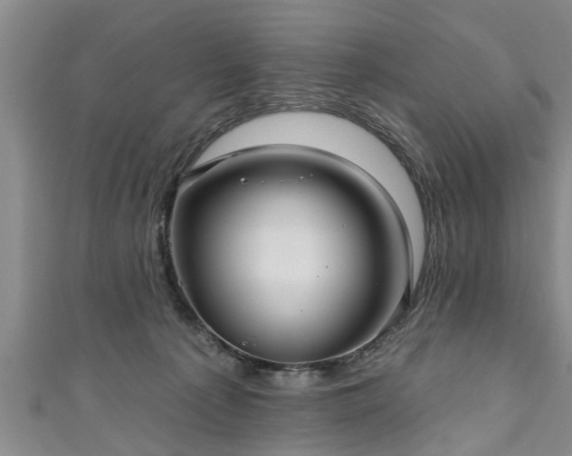 X0000111170225200907081221