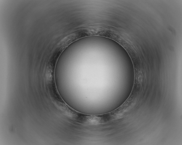 X0000111170226200907081221