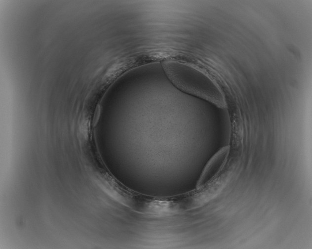 X0000111170227200907081221