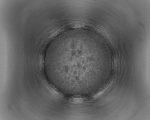 X0000111170228200907081221