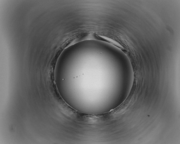 X0000111170229200907081221