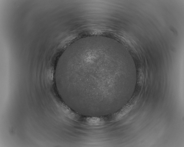 X0000111170230200907081221