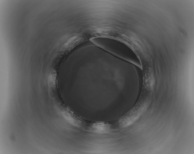 X0000111170231200907081221