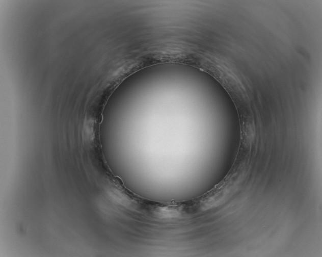 X0000111170232200907081221