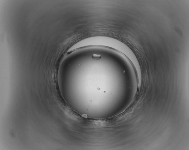 X0000111170233200907081221