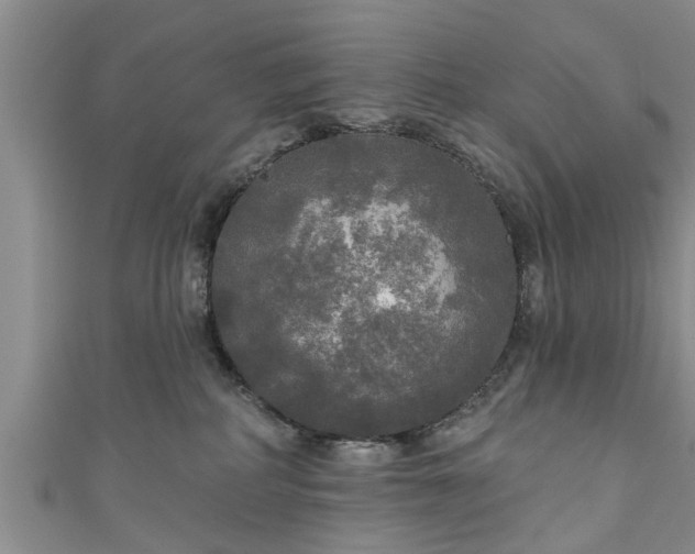 X0000111170234200907081221