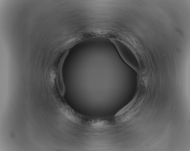 X0000111170235200907081221