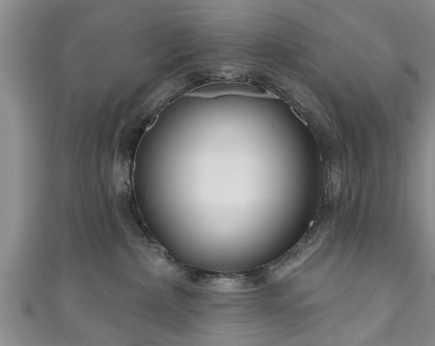 X0000111170236200907081221