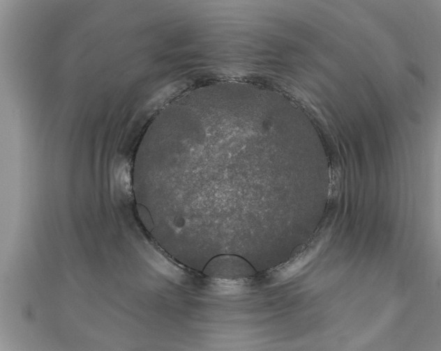 X0000111170238200907081221