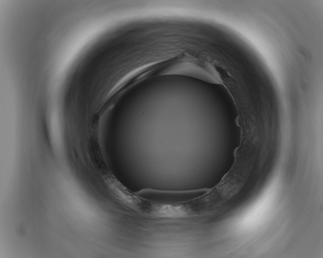 X0000111170239200907081221