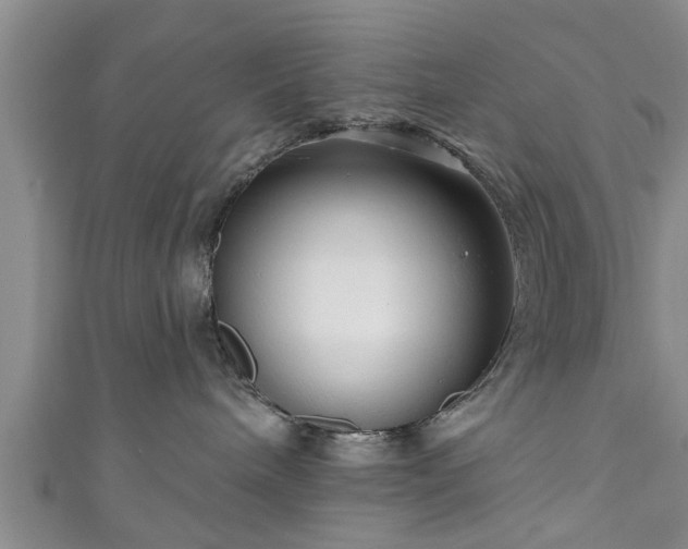 X0000111170240200907081221