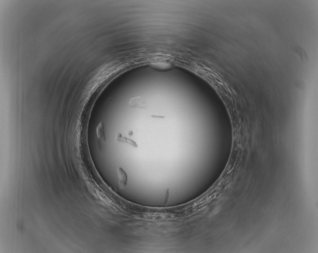 X0000111170242200907081220
