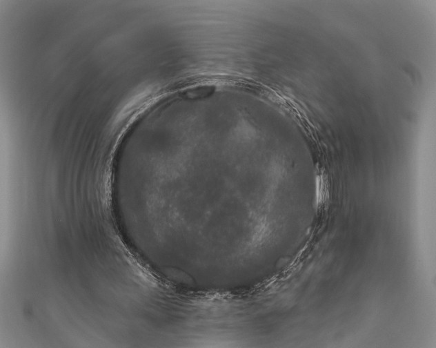 X0000111170243200907081220