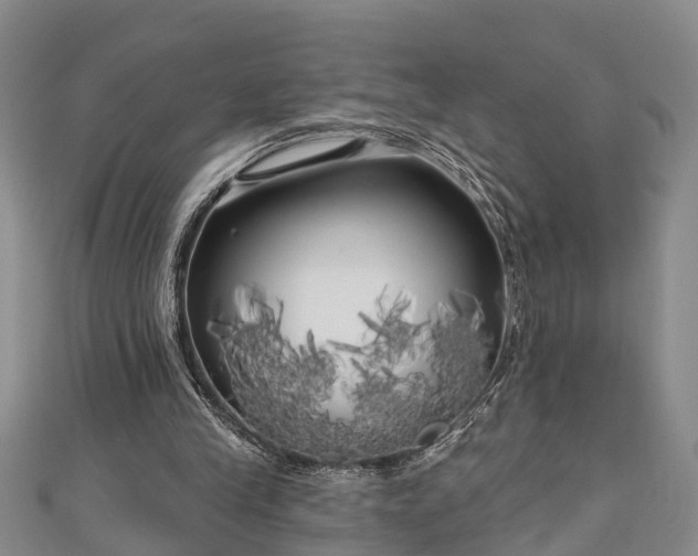X0000111170245200907081220