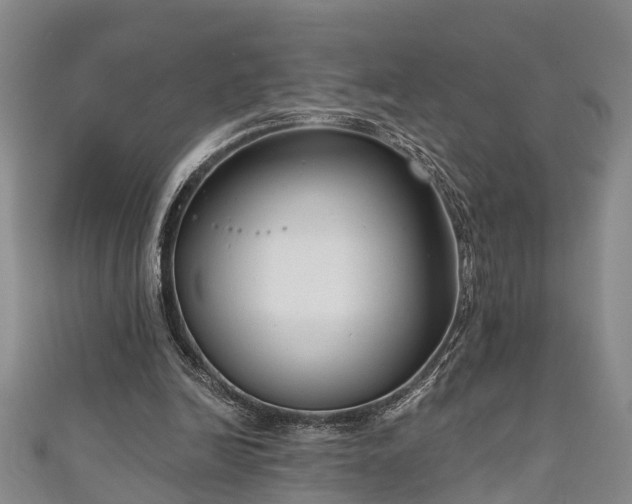 X0000111170246200907081220